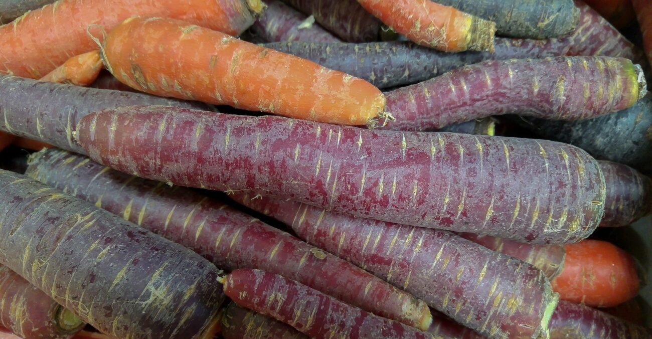 Perché i soldati nascosti nel cavallo di Troia mangiavano carote?