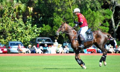 Perché i giocatori di polo indossano caschi di protezione?
