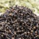 Perché usare i chiodi di garofano in cucina?