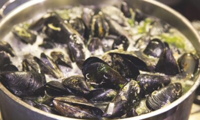 Perché si pescano le cozze?