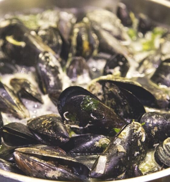 Perché si pescano le cozze?