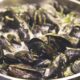 Perché si pescano le cozze?