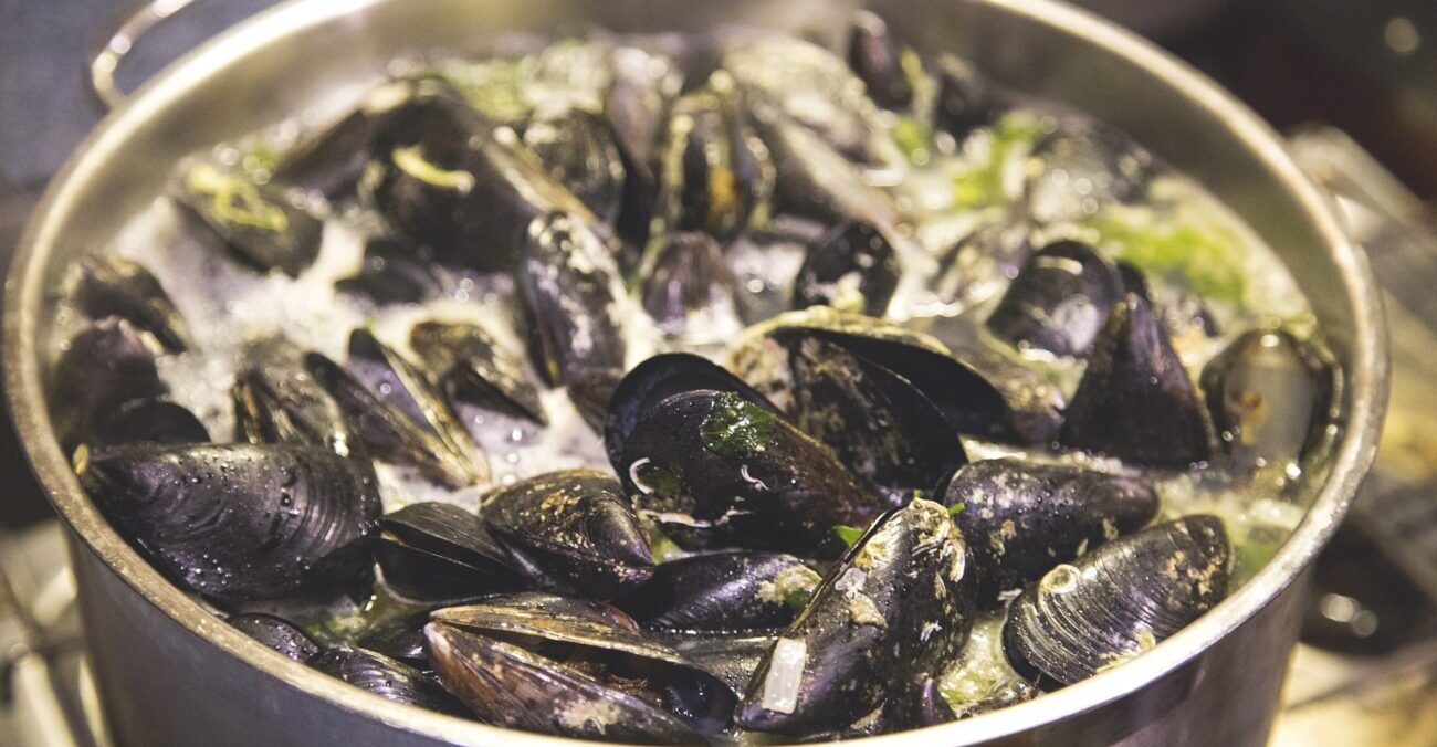 Perché si pescano le cozze?