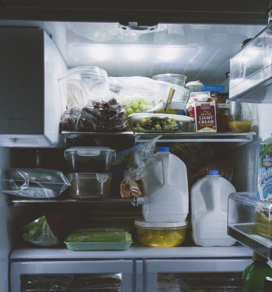 Perché nel frigo c'è la luce e nel freezer no?