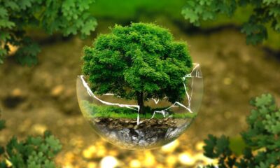 Perché contrastare il greenwashing?