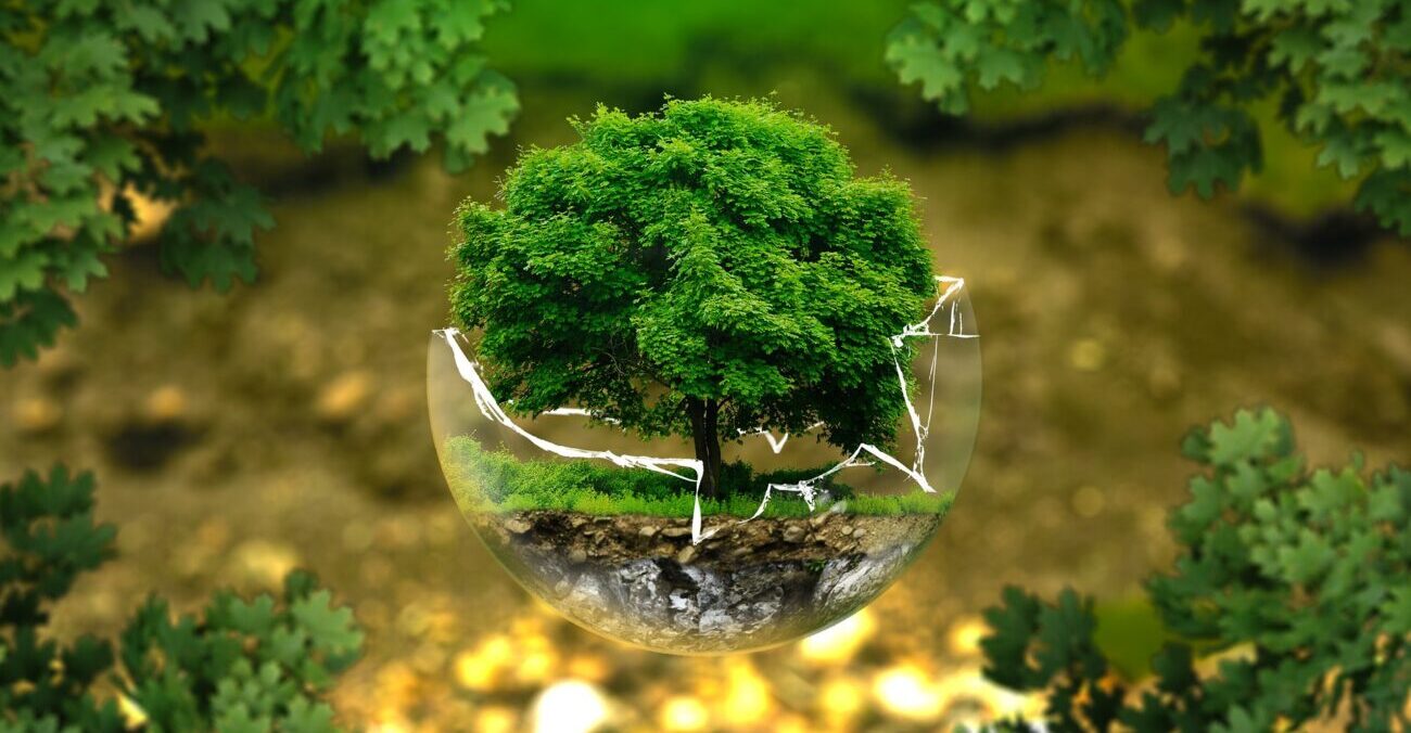 Perché contrastare il greenwashing?