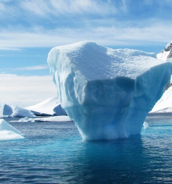 Perché si formano gli iceberg?