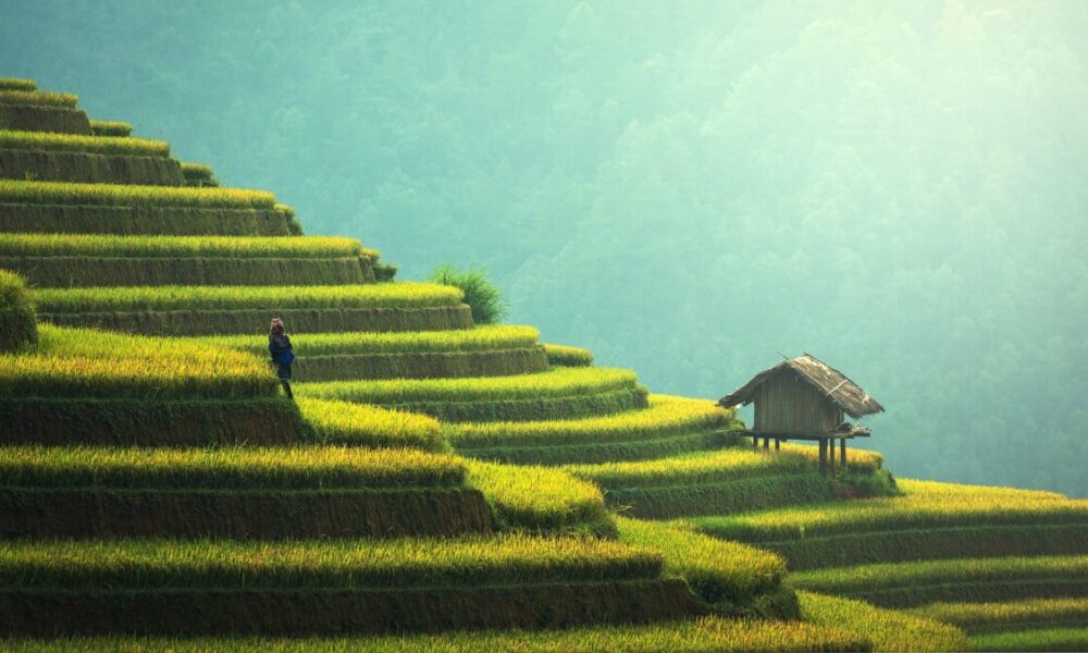 Perché visitare la Malaysia?