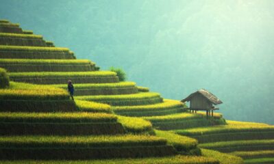 Perché visitare la Malaysia?