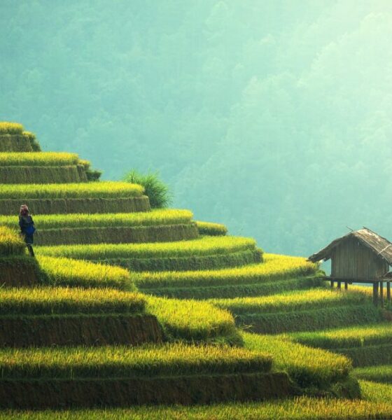 Perché visitare la Malaysia?