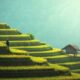 Perché visitare la Malaysia?