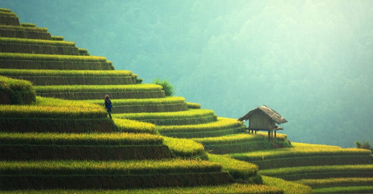 Perché visitare la Malaysia?