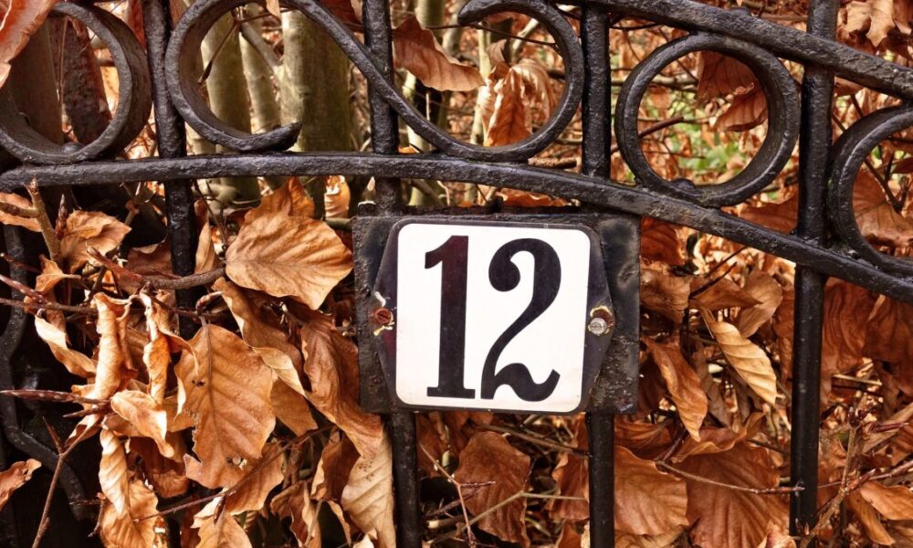 Perché comparvero i numeri civici?