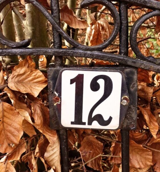 Perché comparvero i numeri civici?