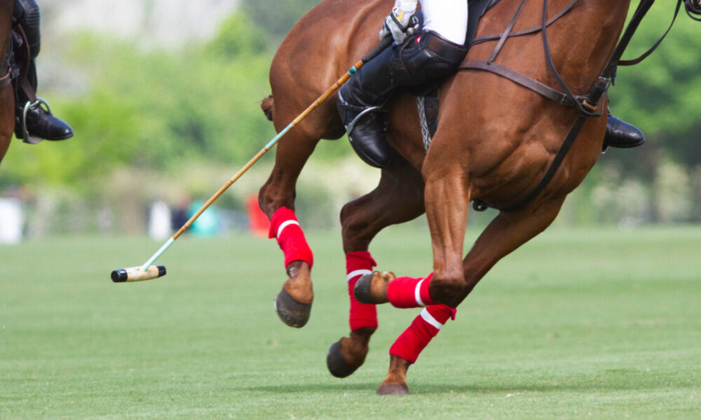 Perché i giocatori di polo devono essere altamente coordinati?