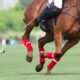 Perché i giocatori di polo devono essere altamente coordinati?