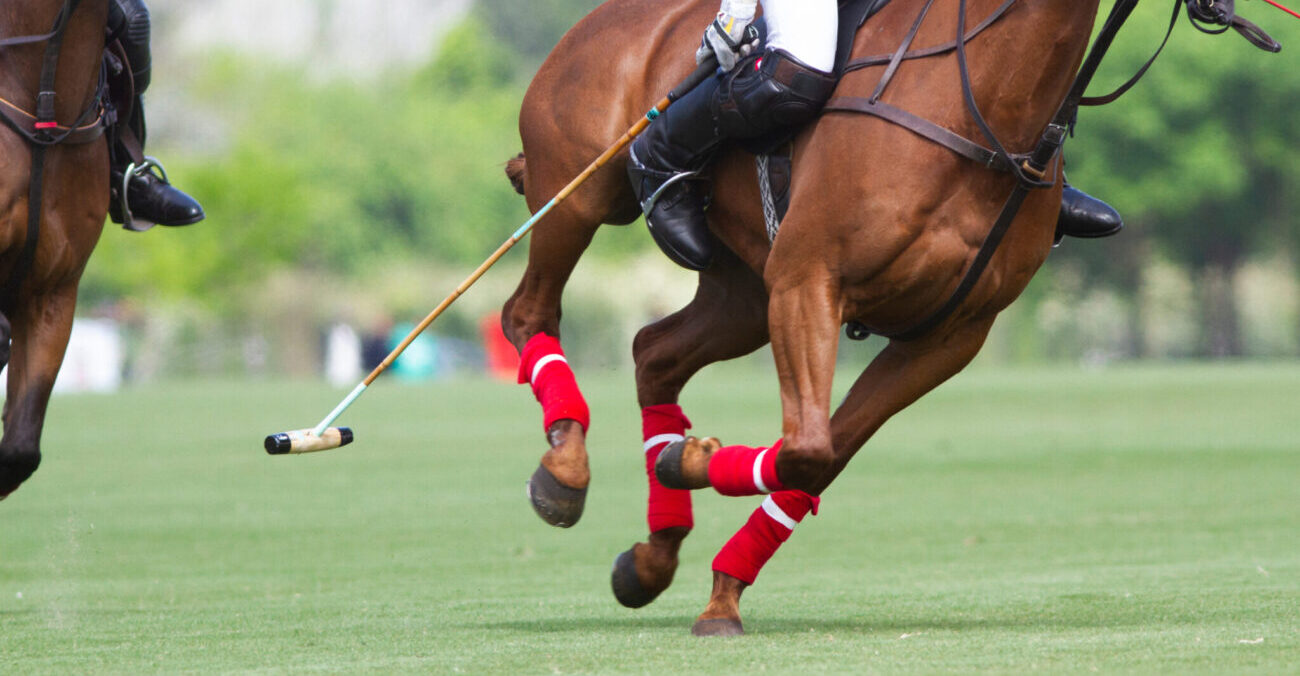Perché i giocatori di polo devono essere altamente coordinati?
