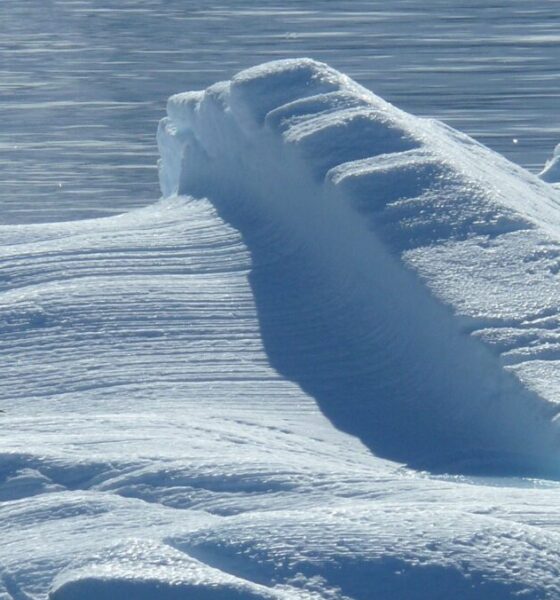 Perché il Polo Sud è più freddo del Polo Nord?