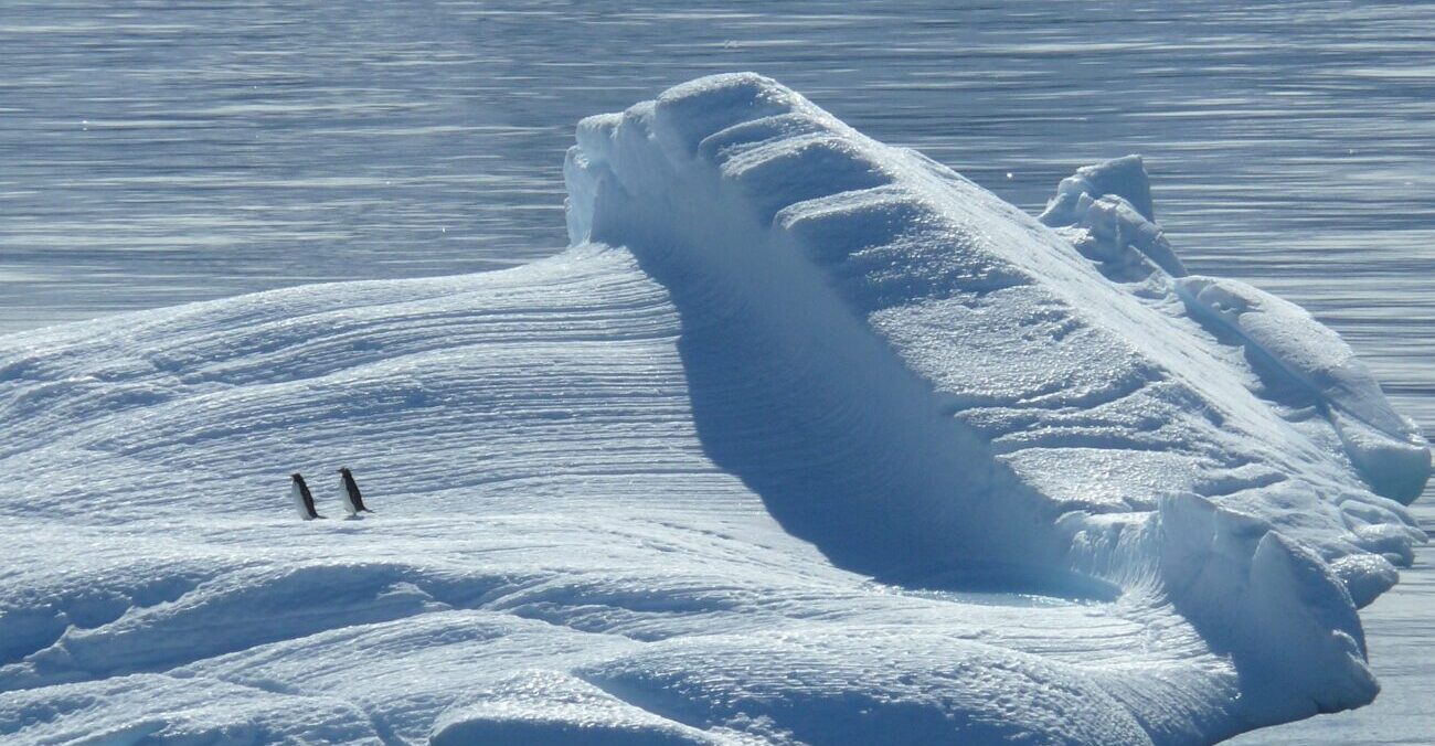 Perché il Polo Sud è più freddo del Polo Nord?