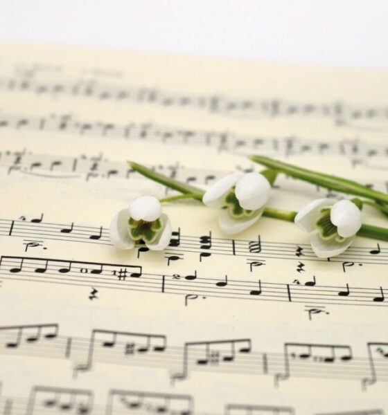 Perché è nato il gruppo musicale dei Ricchi e Poveri?