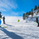 Perché c'è differenza tra carving e telemark?