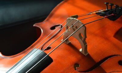 Perché il violoncello non può mancare nei concerti in musica?