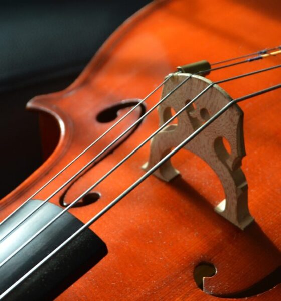 Perché il violoncello non può mancare nei concerti in musica?