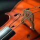 Perché il violoncello non può mancare nei concerti in musica?