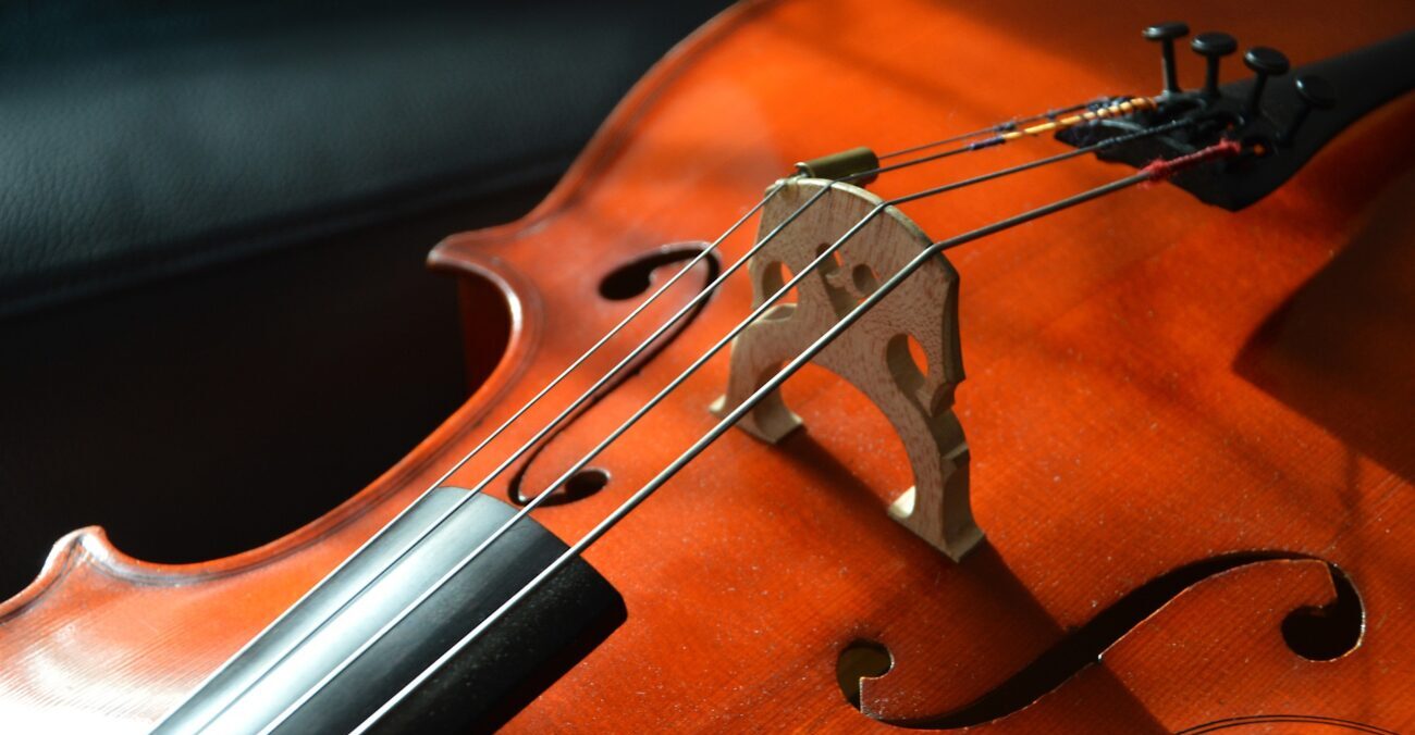 Perché il violoncello non può mancare nei concerti in musica?