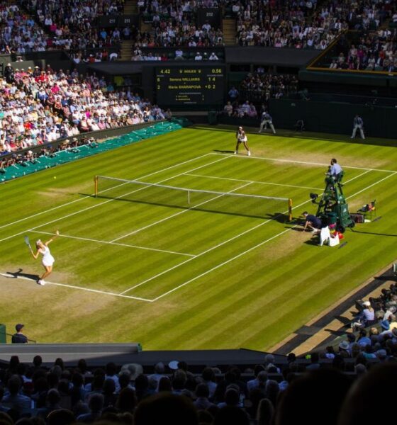 Perché a Wimbledon i tennisti si vestono di bianco?